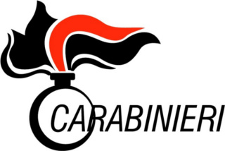 Carabinieri logo