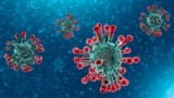 1coronavirus